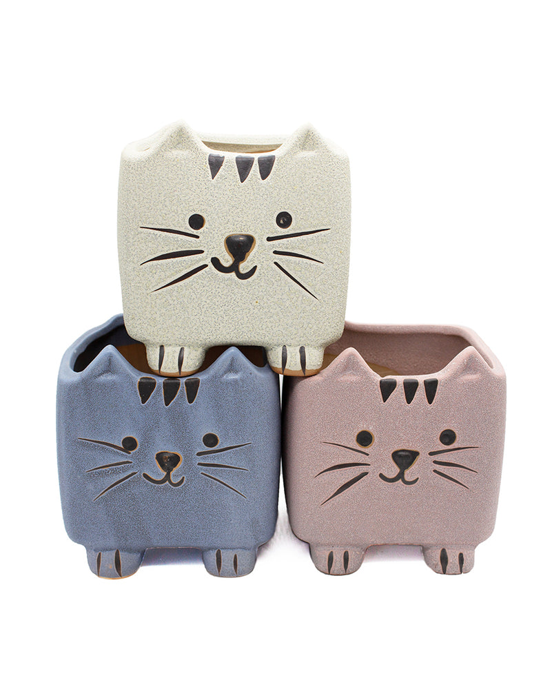 Super-Cute Cartoon Cats Tri-Color Set