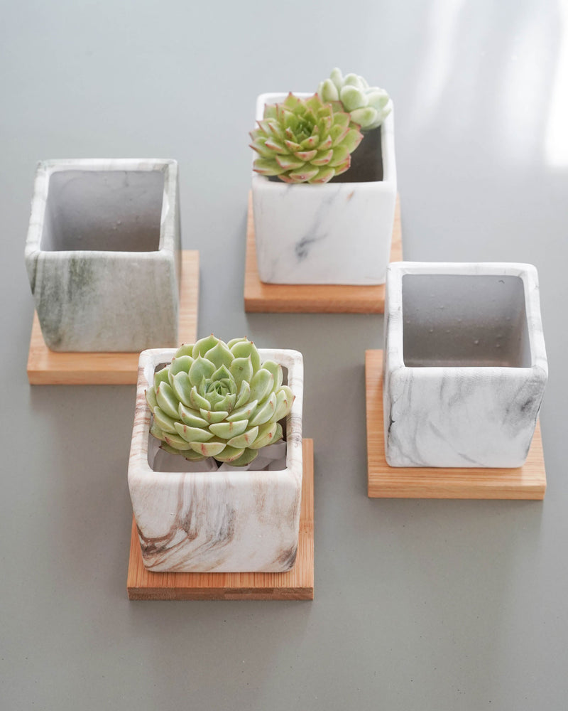 Marble Pattern Planter with Saucer Square