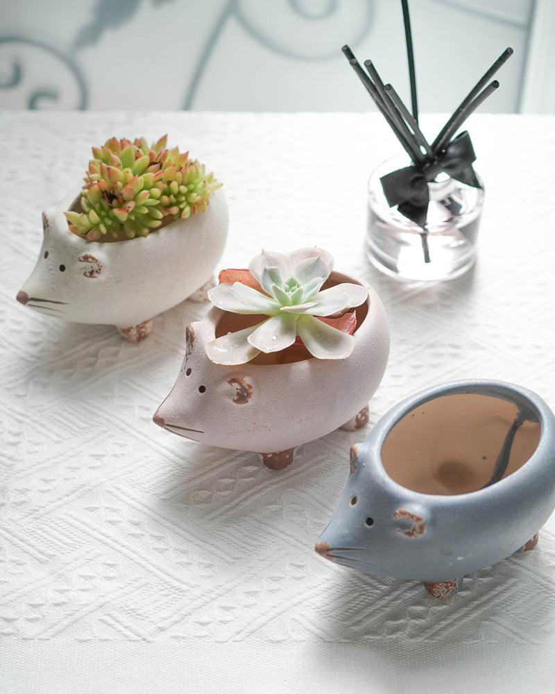 Succulent Assortment with Animal Planters