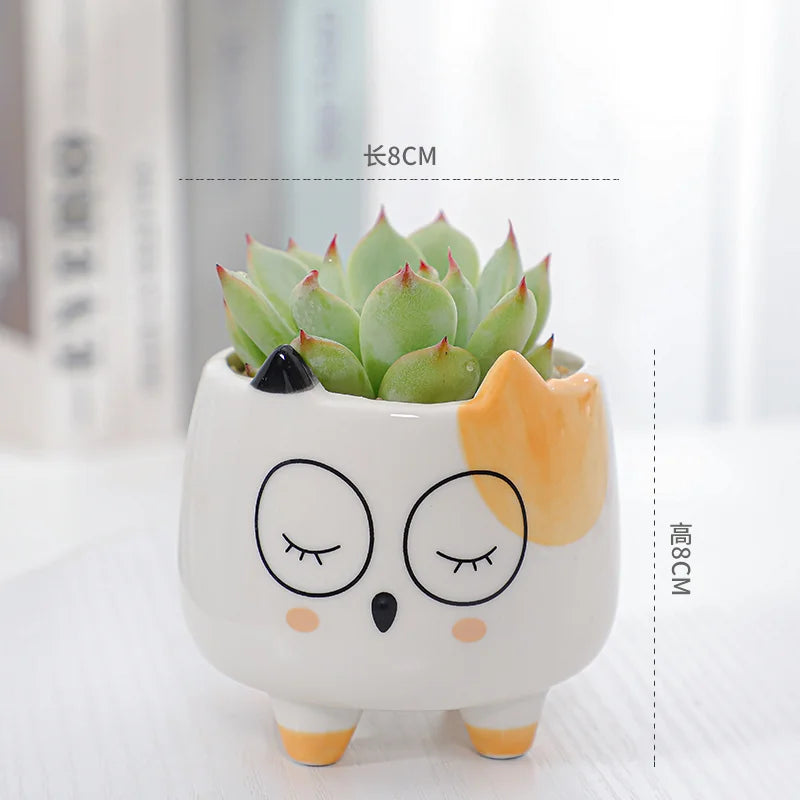 Cat Cup Series with Feet