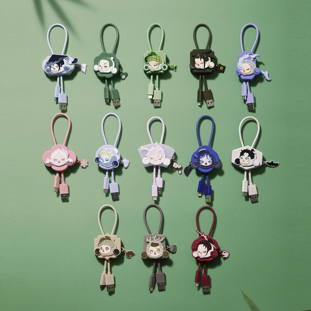 SKULLPANDA The Ink Plum Blossom Series-Cable Line Blind Box (Type-C)