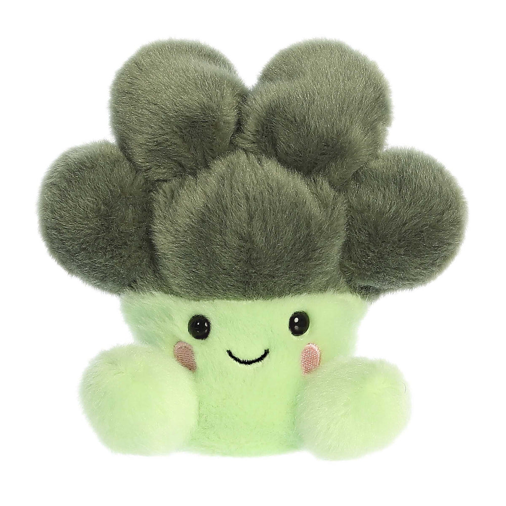 Aurora Palm Pal