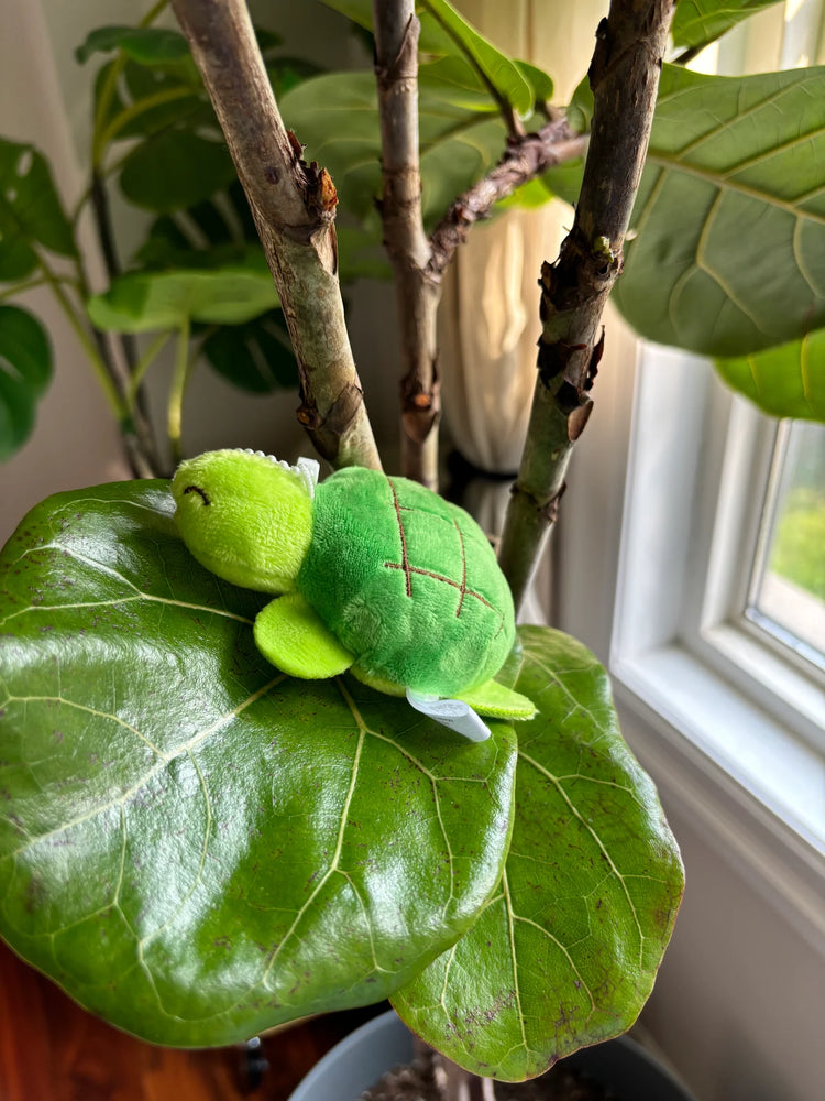
                
                    Load image into Gallery viewer, Bun Turtle keychain
                
            