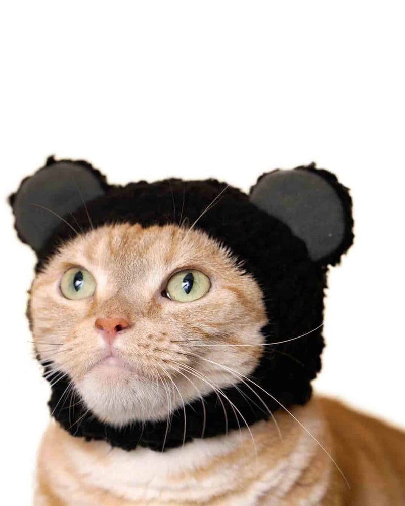 
                
                    Load image into Gallery viewer, Blind Box - Bear Cat Cap
                
            