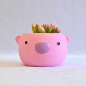Colorful Matte Animal Pot series 2