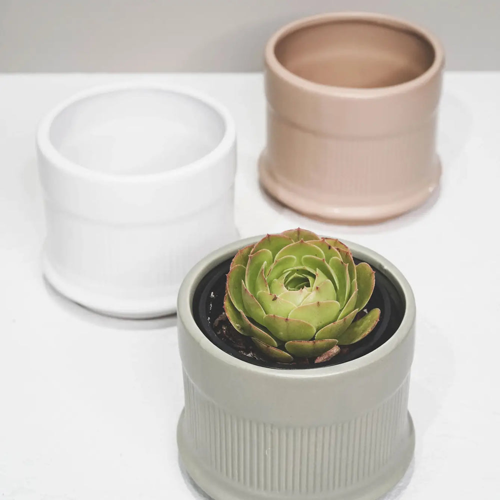 Three Coloured Column Pots