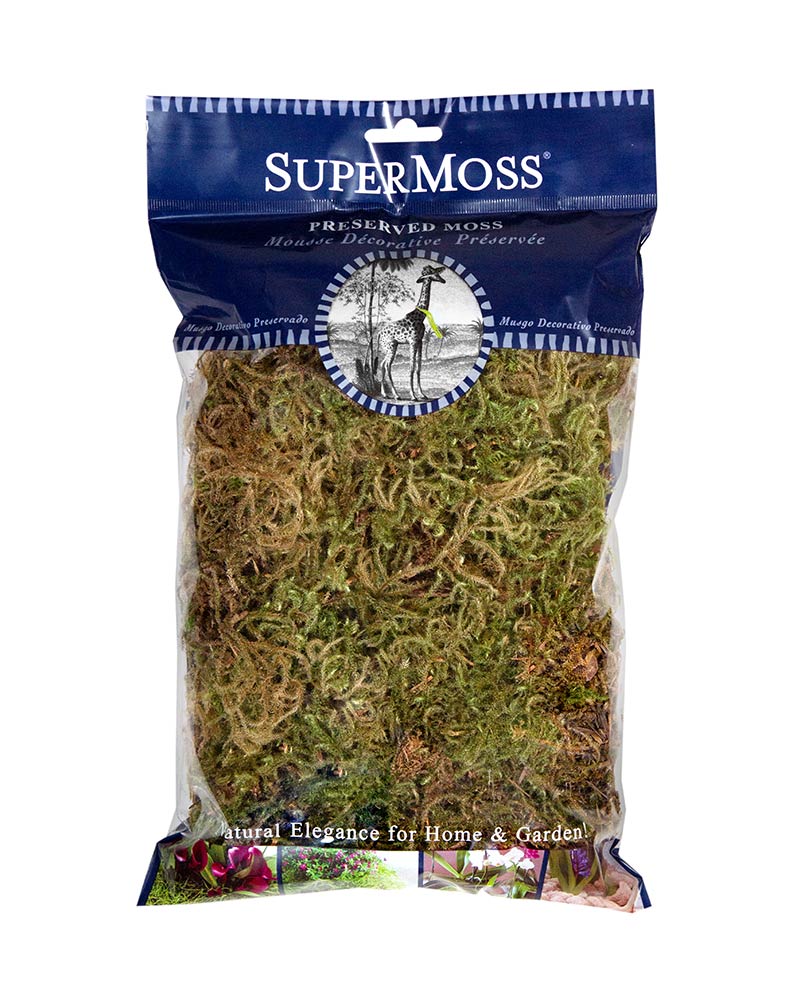 Forest Moss Dried 2oz, 120 cu. in.