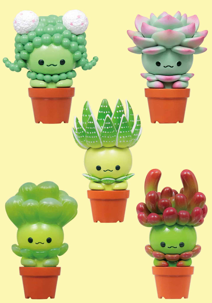 Succulent Friends Blind Box