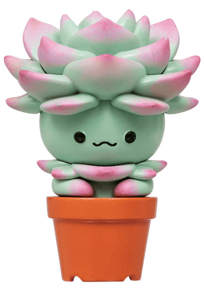 Succulent Friends Blind Box