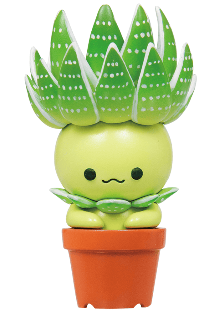 Succulent Friends Blind Box