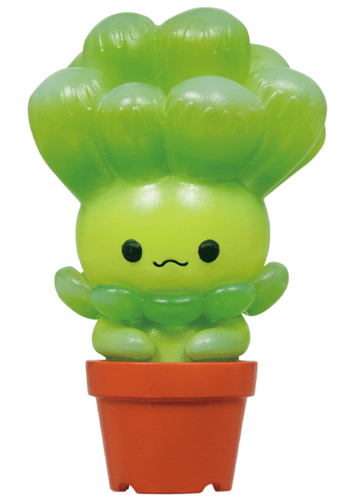 Succulent Friends Blind Box