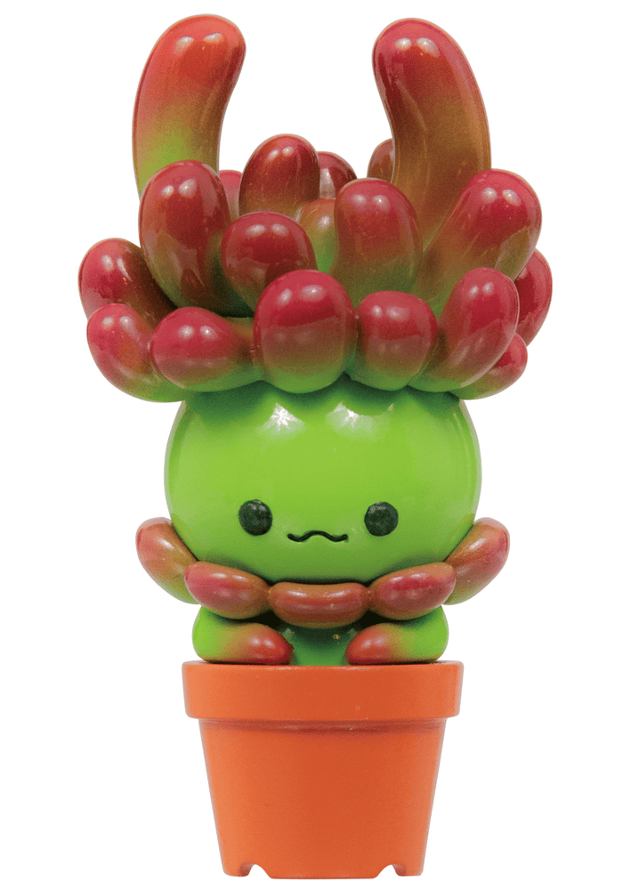 Succulent Friends Blind Box