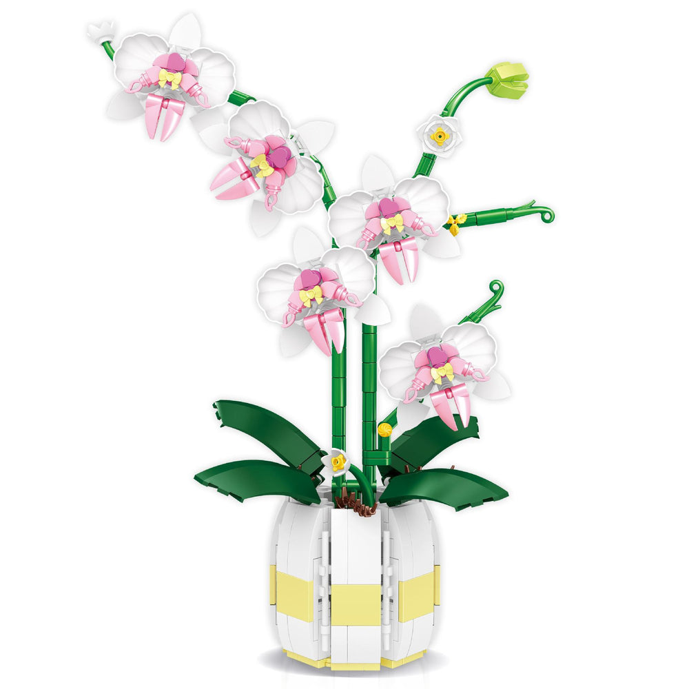 Orchids Block