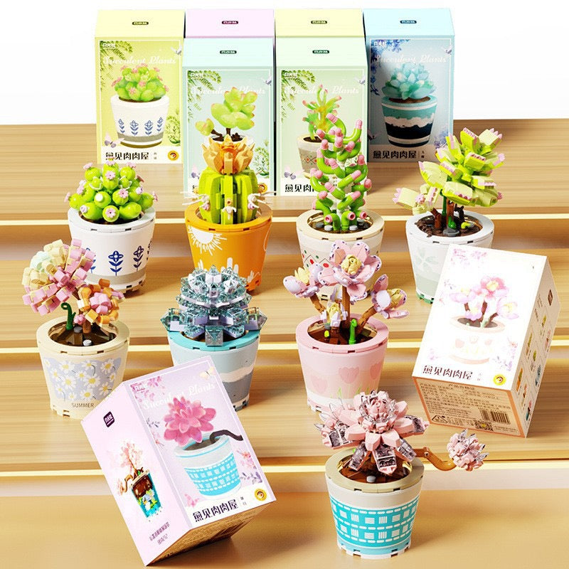 
                
                    Load image into Gallery viewer, Succulents Plants Blocks
                
            