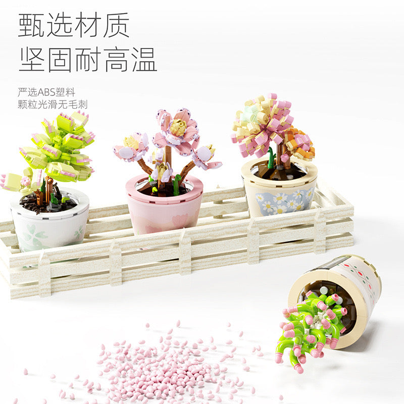 Succulents Plants Blocks