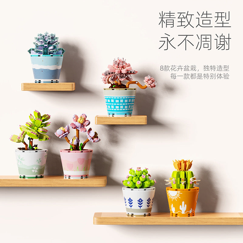 Succulents Plants Blocks