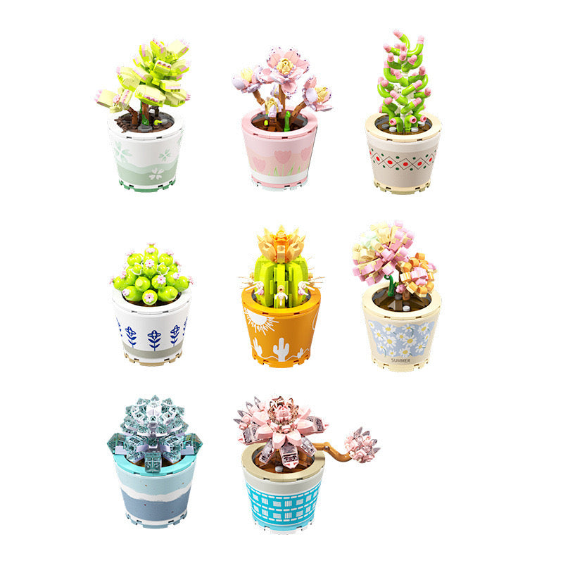 Succulents Plants Blocks