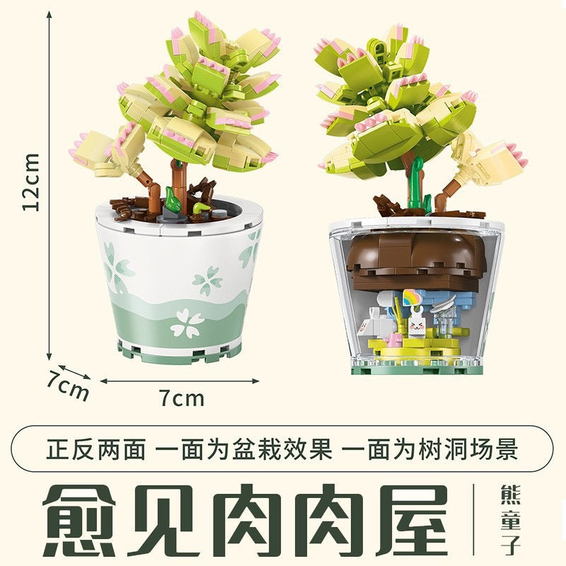 
                
                    Load image into Gallery viewer, Succulents Plants Blocks
                
            