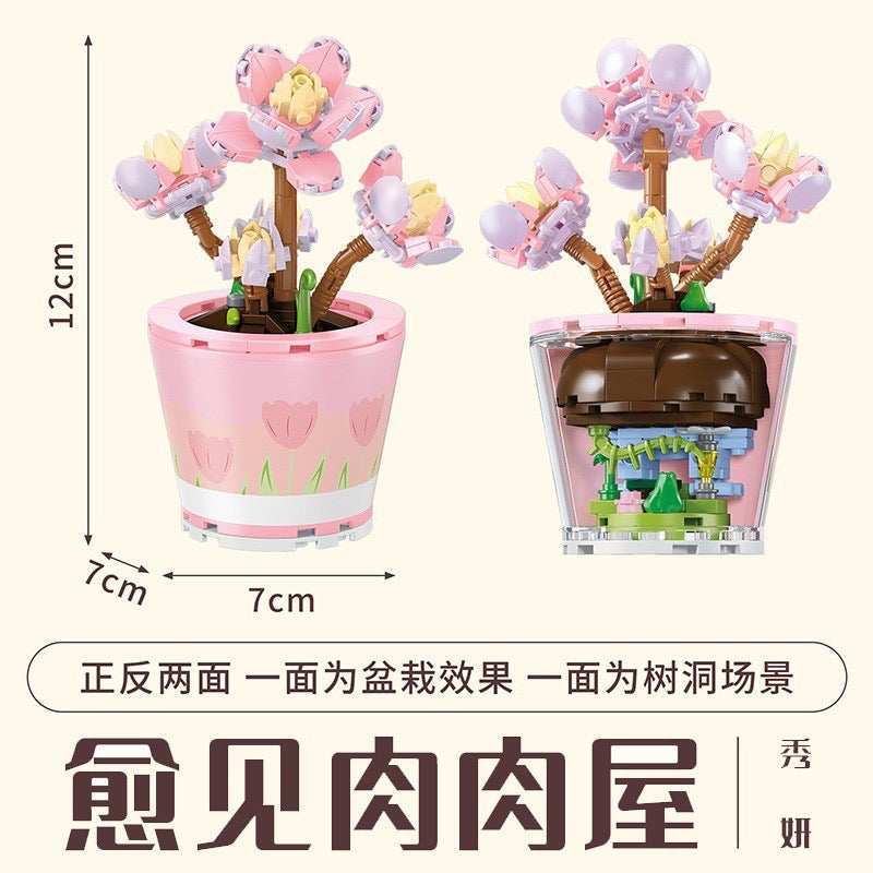 
                
                    Load image into Gallery viewer, Succulents Plants Blocks
                
            