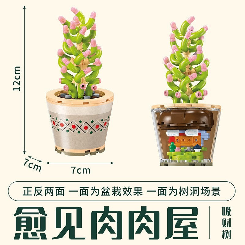 
                
                    Load image into Gallery viewer, Succulents Plants Blocks
                
            