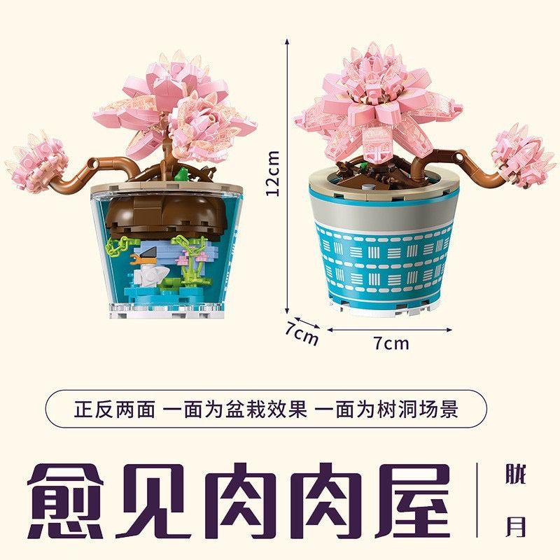 
                
                    Load image into Gallery viewer, Succulents Plants Blocks
                
            