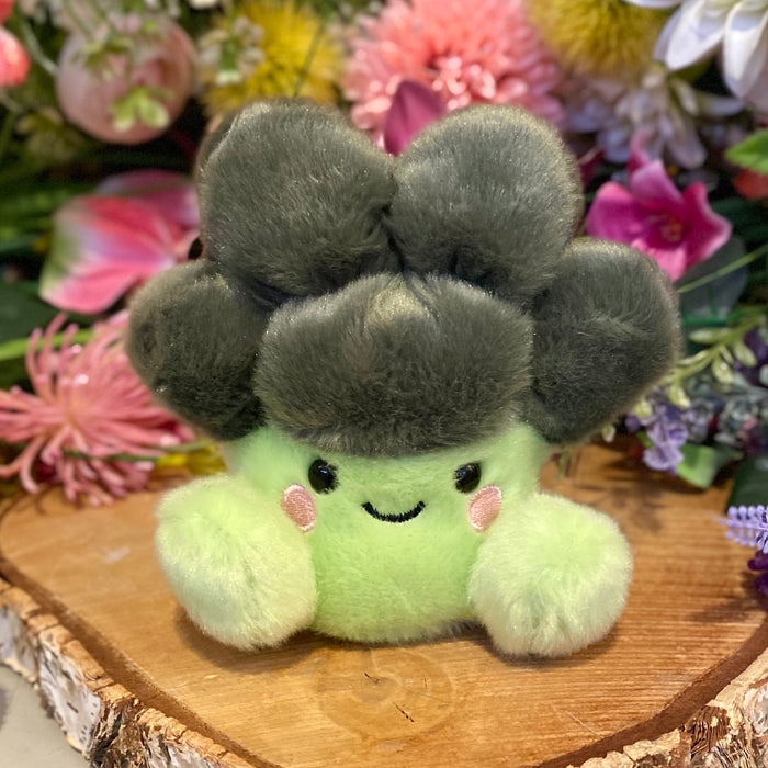 Aurora Palm Pal