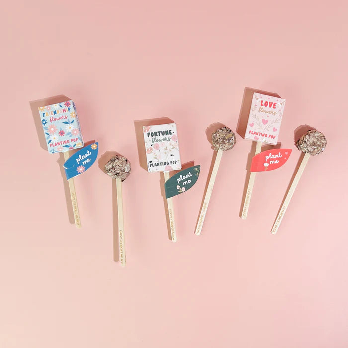 
                
                    Load image into Gallery viewer, Fortune Flowers Garden + Gift Seed Planting Pop
                
            