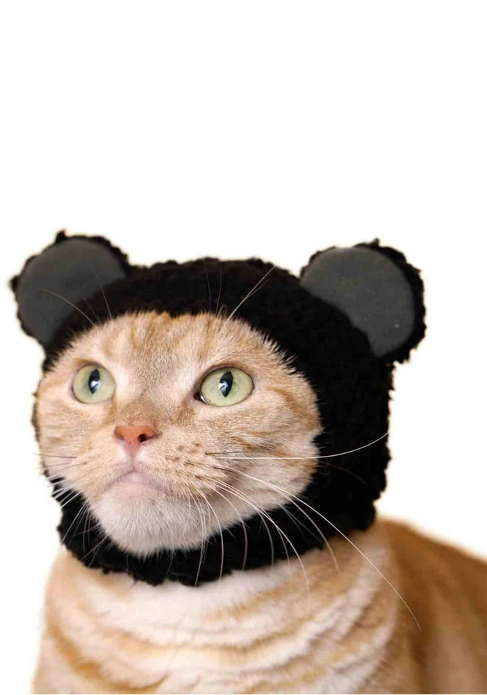 Blind Box - Bear Cat Cap