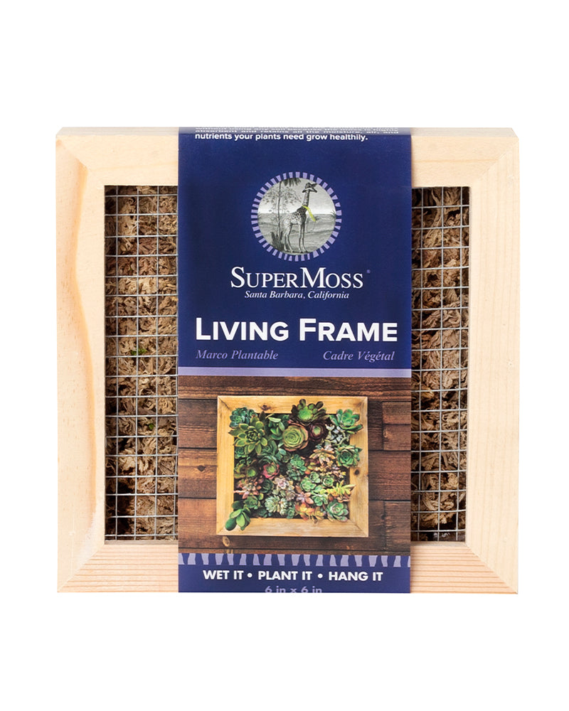 Sphagnum Moss Living Frame 6 x 6 in.