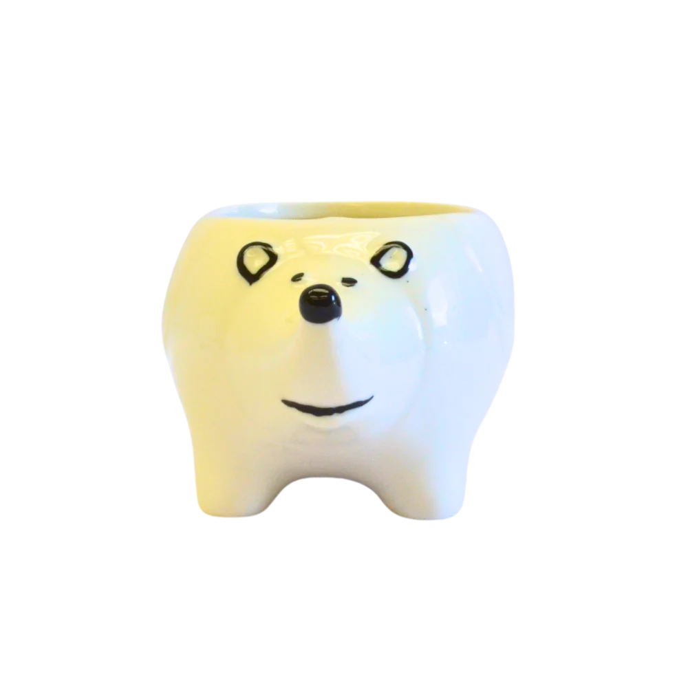 Porcupine White