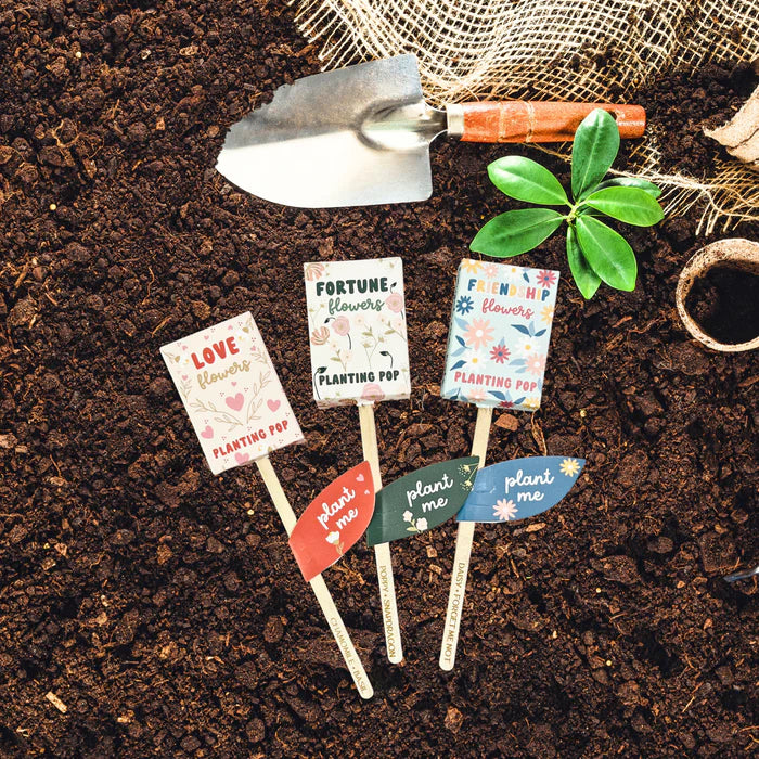 
                
                    Load image into Gallery viewer, Fortune Flowers Garden + Gift Seed Planting Pop
                
            