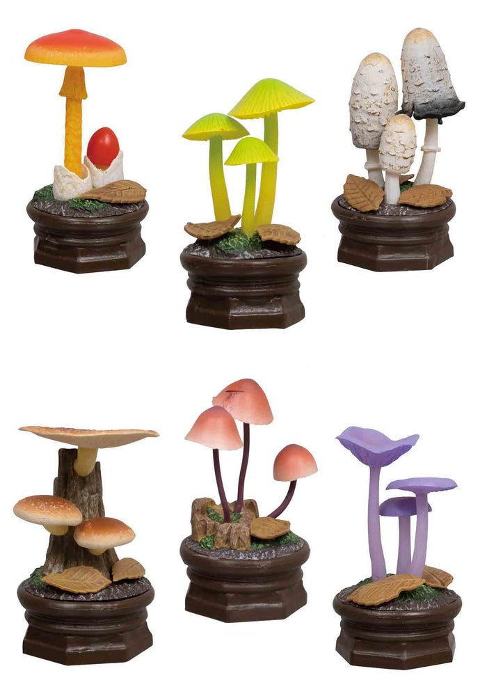 
                
                    Load image into Gallery viewer, Mushroom Garden Blind Box Version 2
                
            