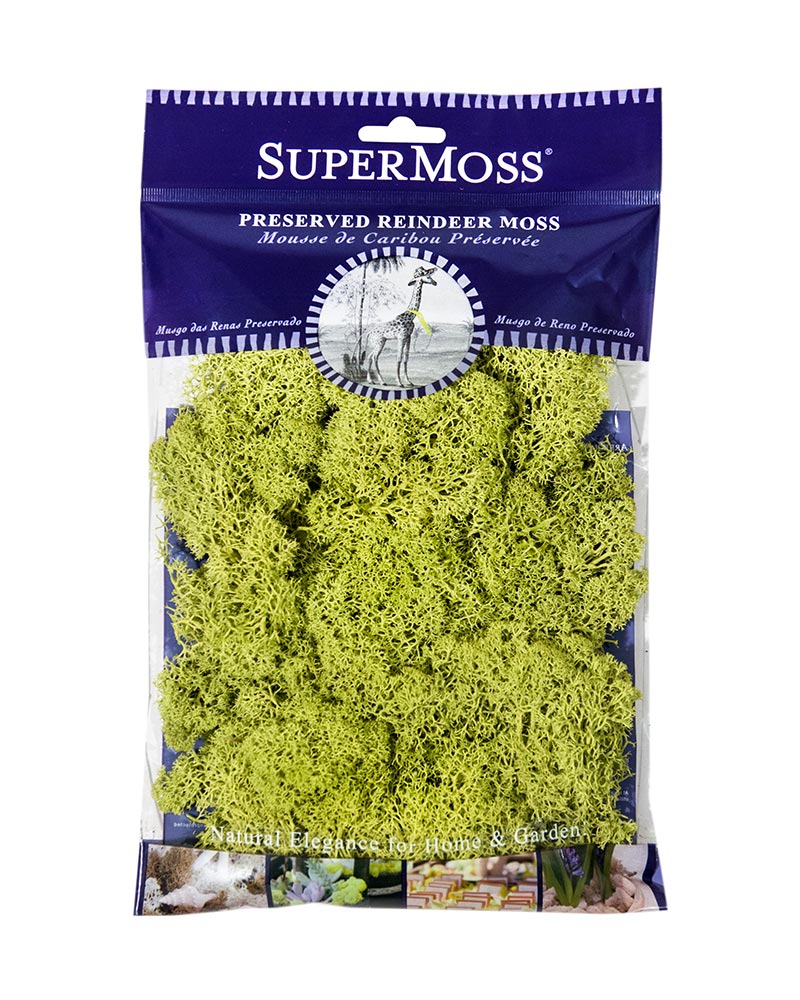 Reindeer Moss 2oz, 120 cu. in.