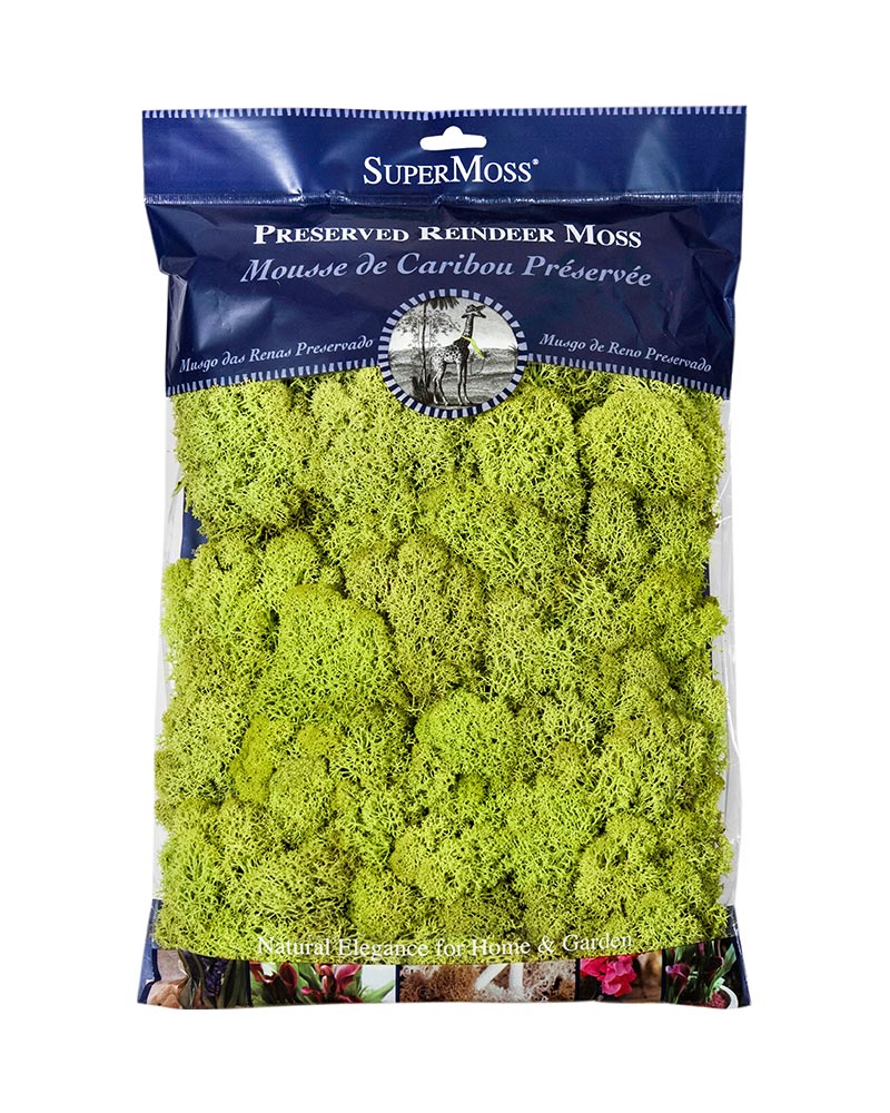 Reindeer Moss 325 cu. in.