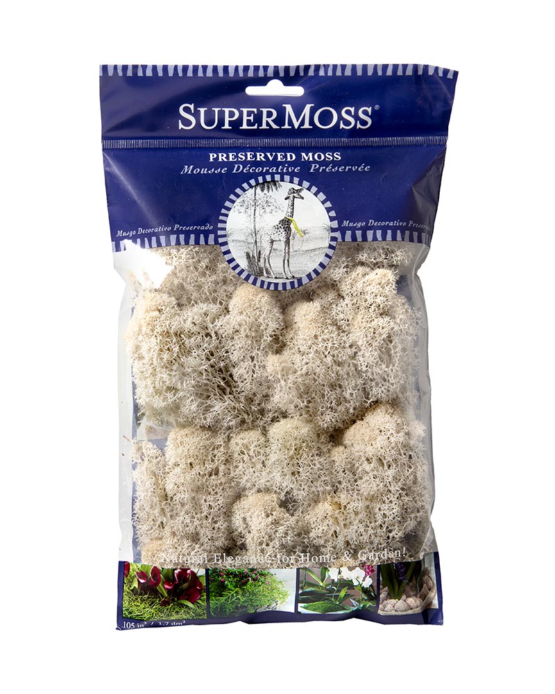 Reindeer Moss 2oz, 120 cu. in.