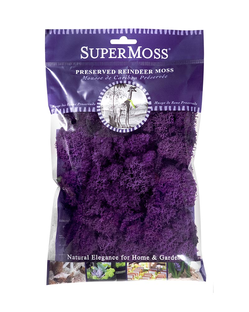 Reindeer Moss 2oz, 120 cu. in.