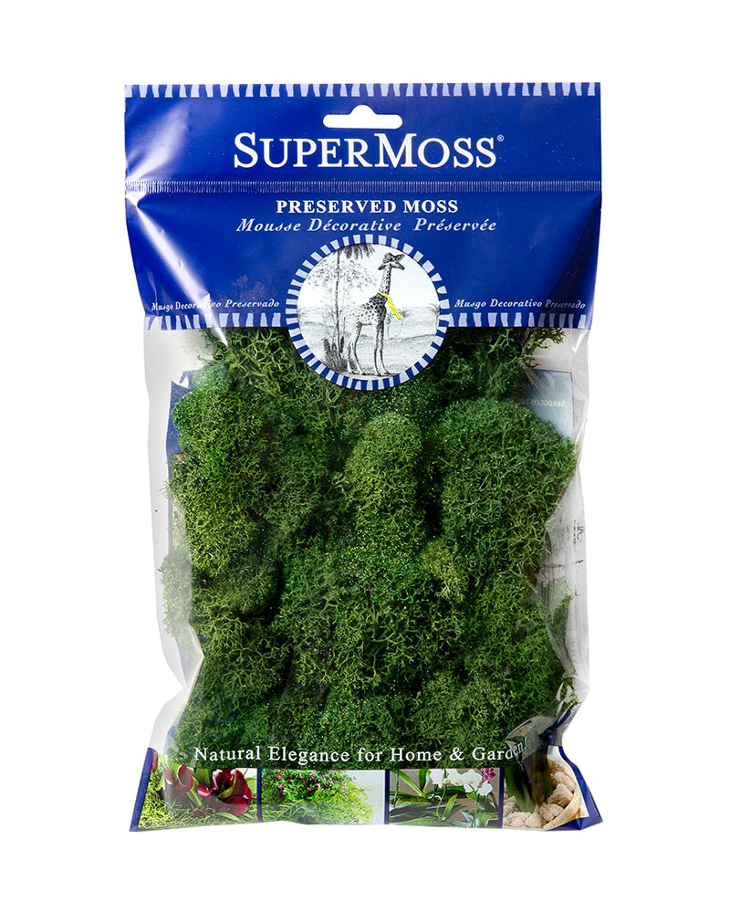 Reindeer Moss 2oz, 120 cu. in.