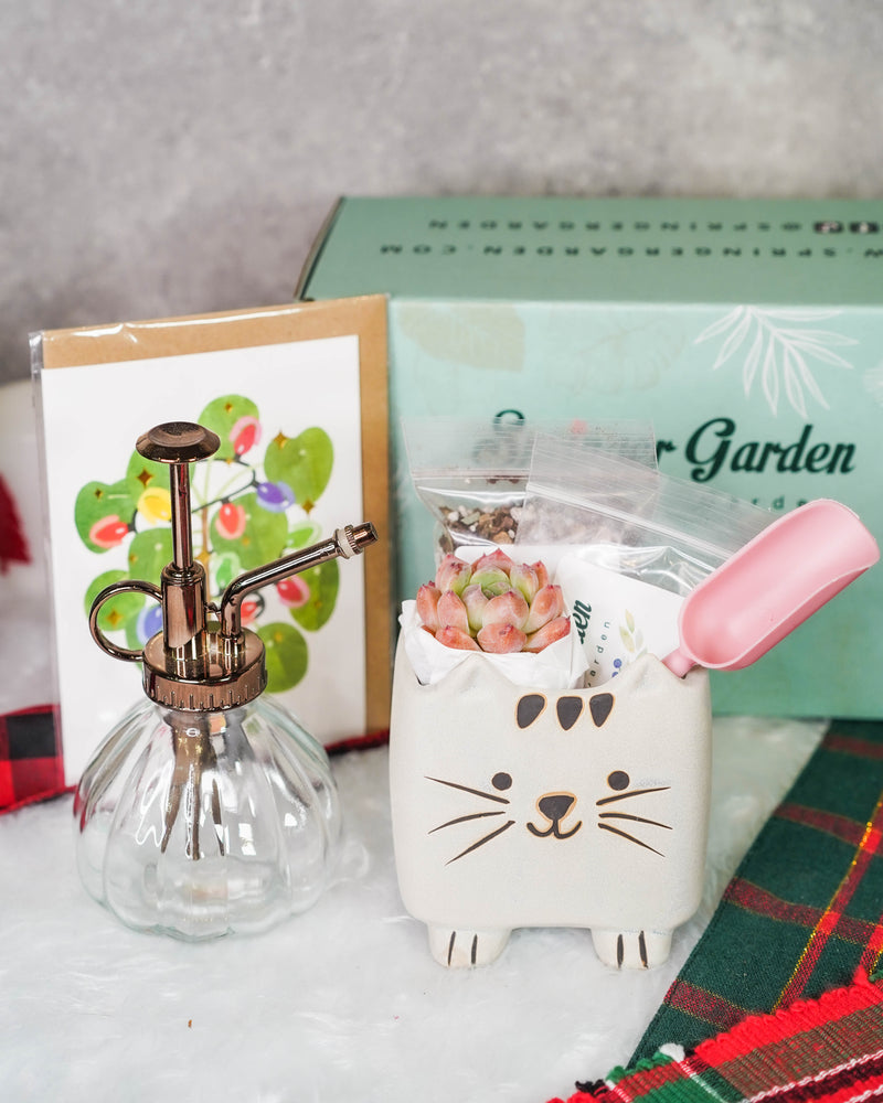 "Cat Parents" Premium Korean-Succulent Gift Box