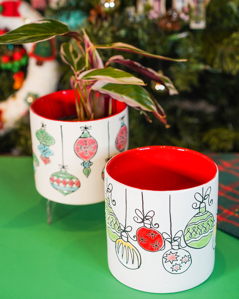 "Holiday Vibes" Houseplant Combo - Gift Bag