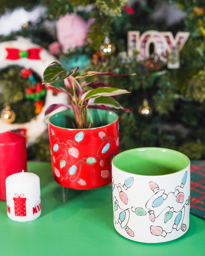 "Holiday Vibes" Houseplant Combo - Gift Bag