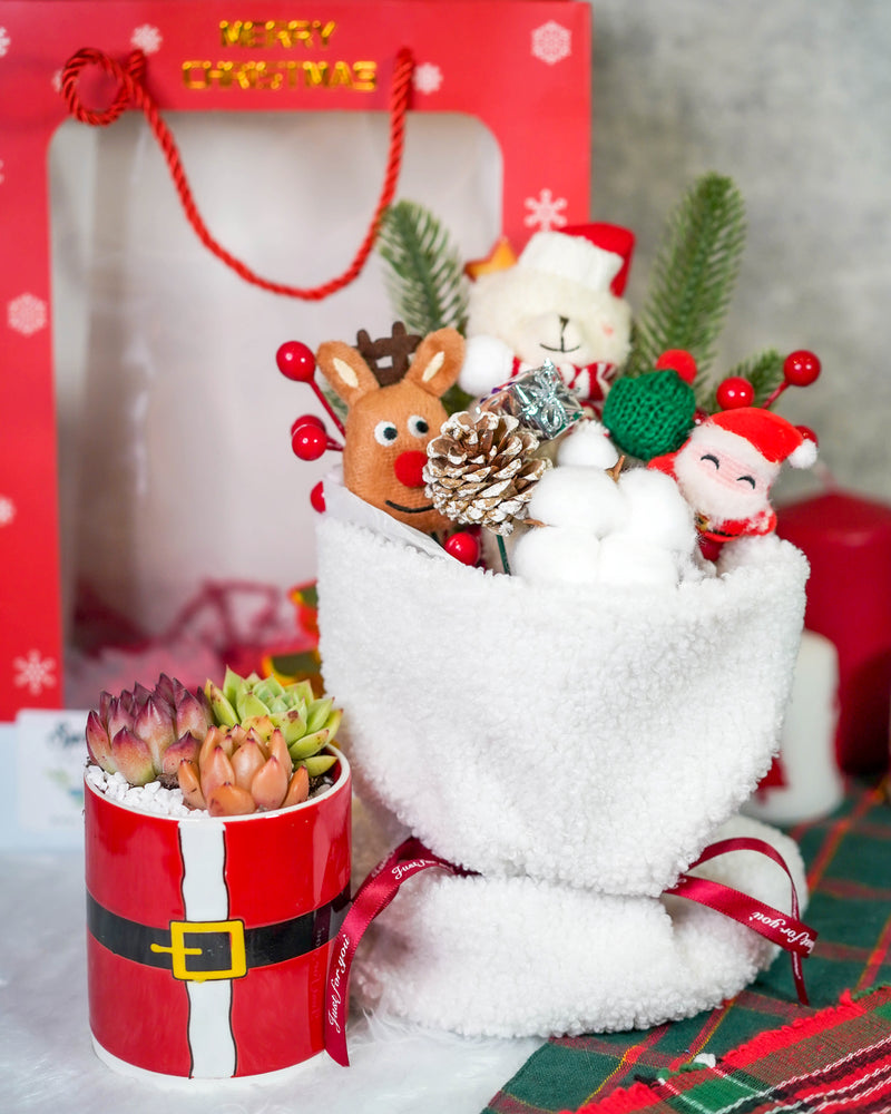 "Santa Bouquet" Korean Succulents Combo - Gift Bag