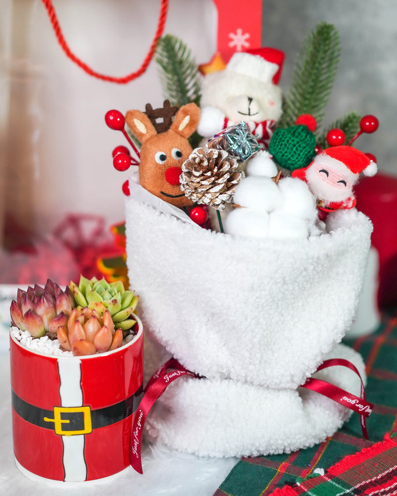 "Santa Bouquet" Korean Succulents Combo - Gift Bag