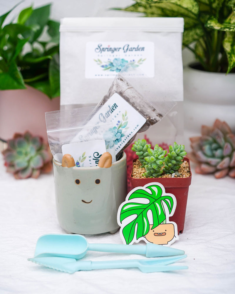 "Love Will Grow" Succulent Gift Bag