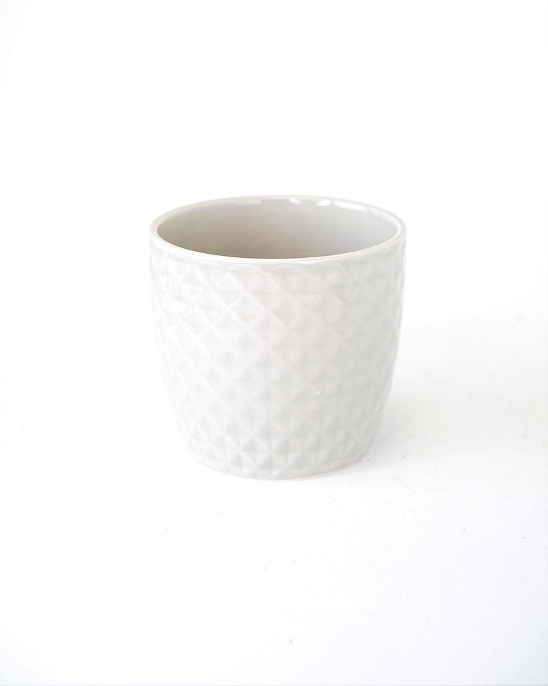 
                
                    Load image into Gallery viewer, Checkered Patterned
                
            