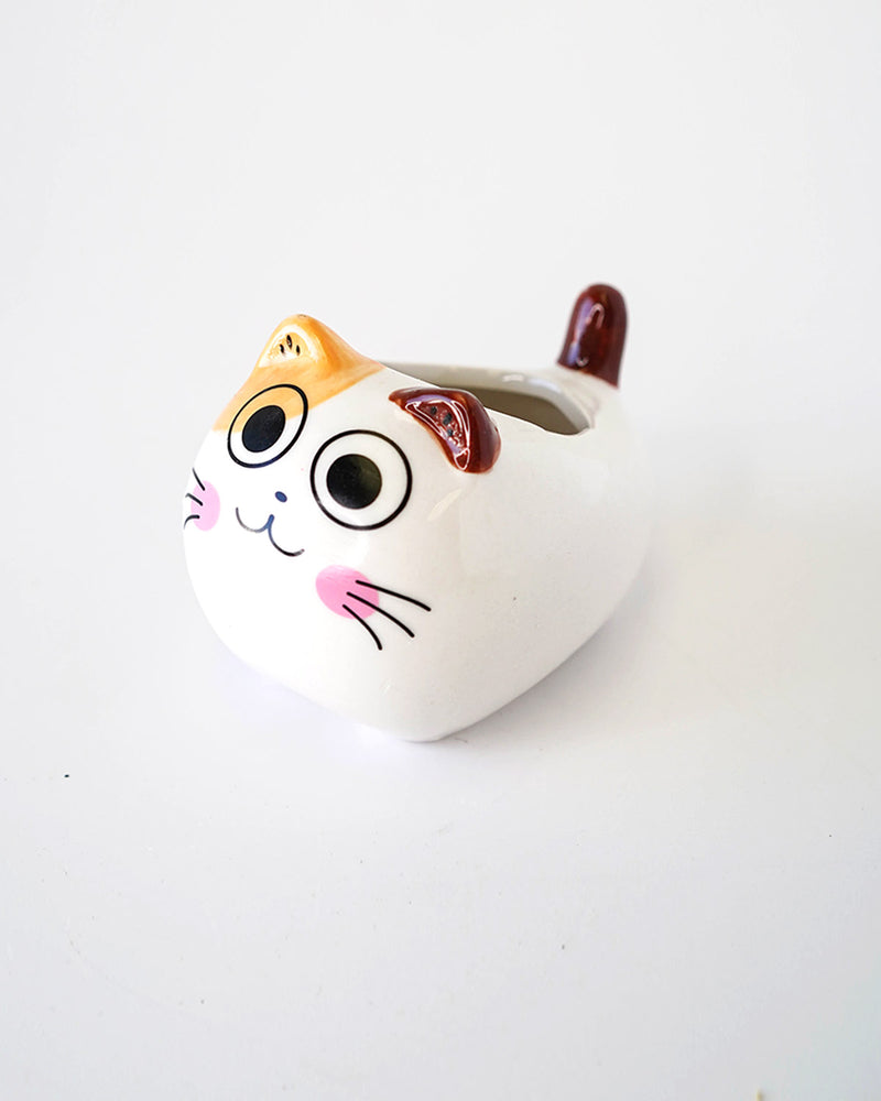 
                
                    Load image into Gallery viewer, Tailed Cats
                
            