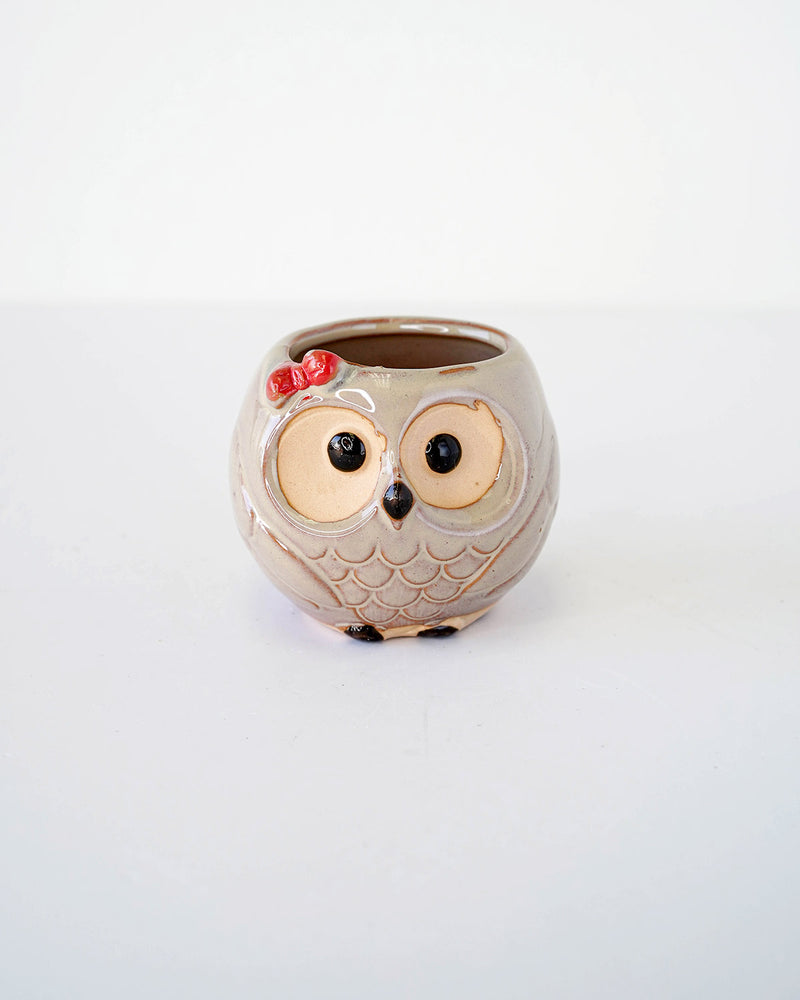 
                
                    Load image into Gallery viewer, Owl Family
                
            