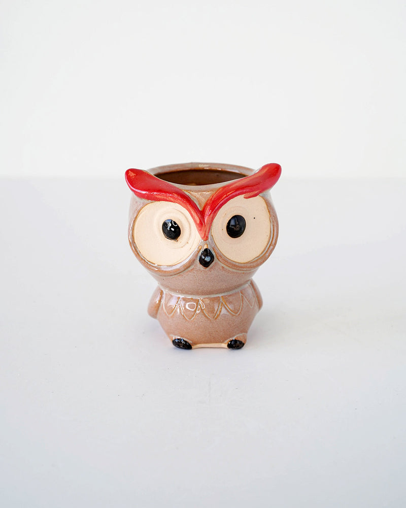 
                
                    Load image into Gallery viewer, Owl Family
                
            