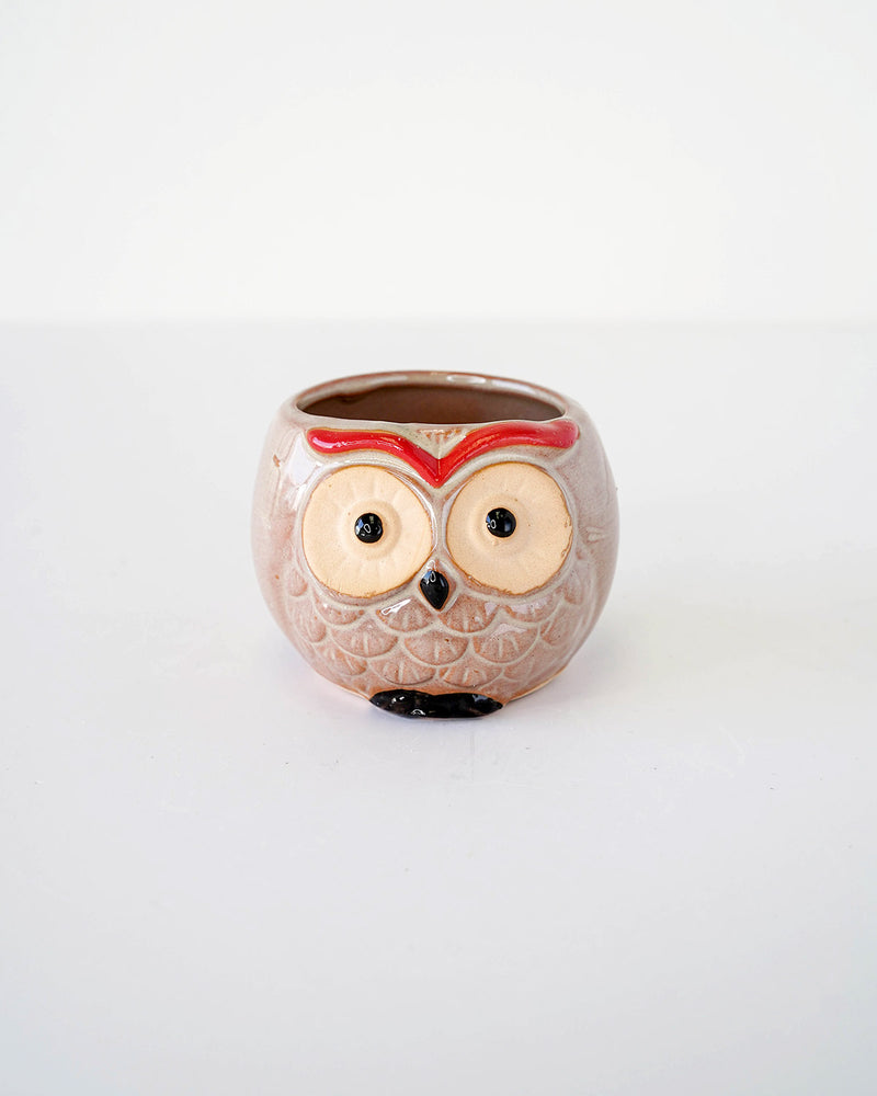
                
                    Load image into Gallery viewer, Owl Family
                
            