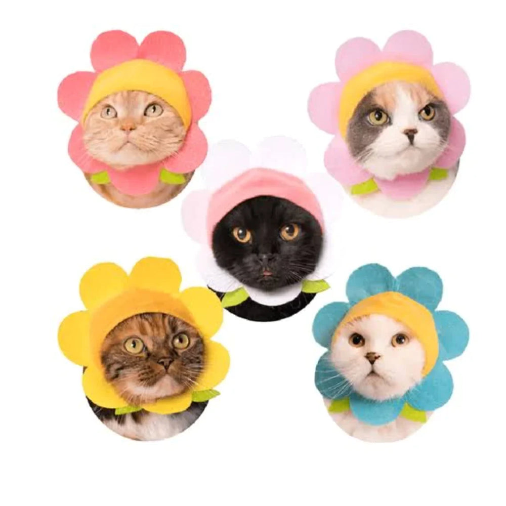 Blind Box- Flower Cat Cap