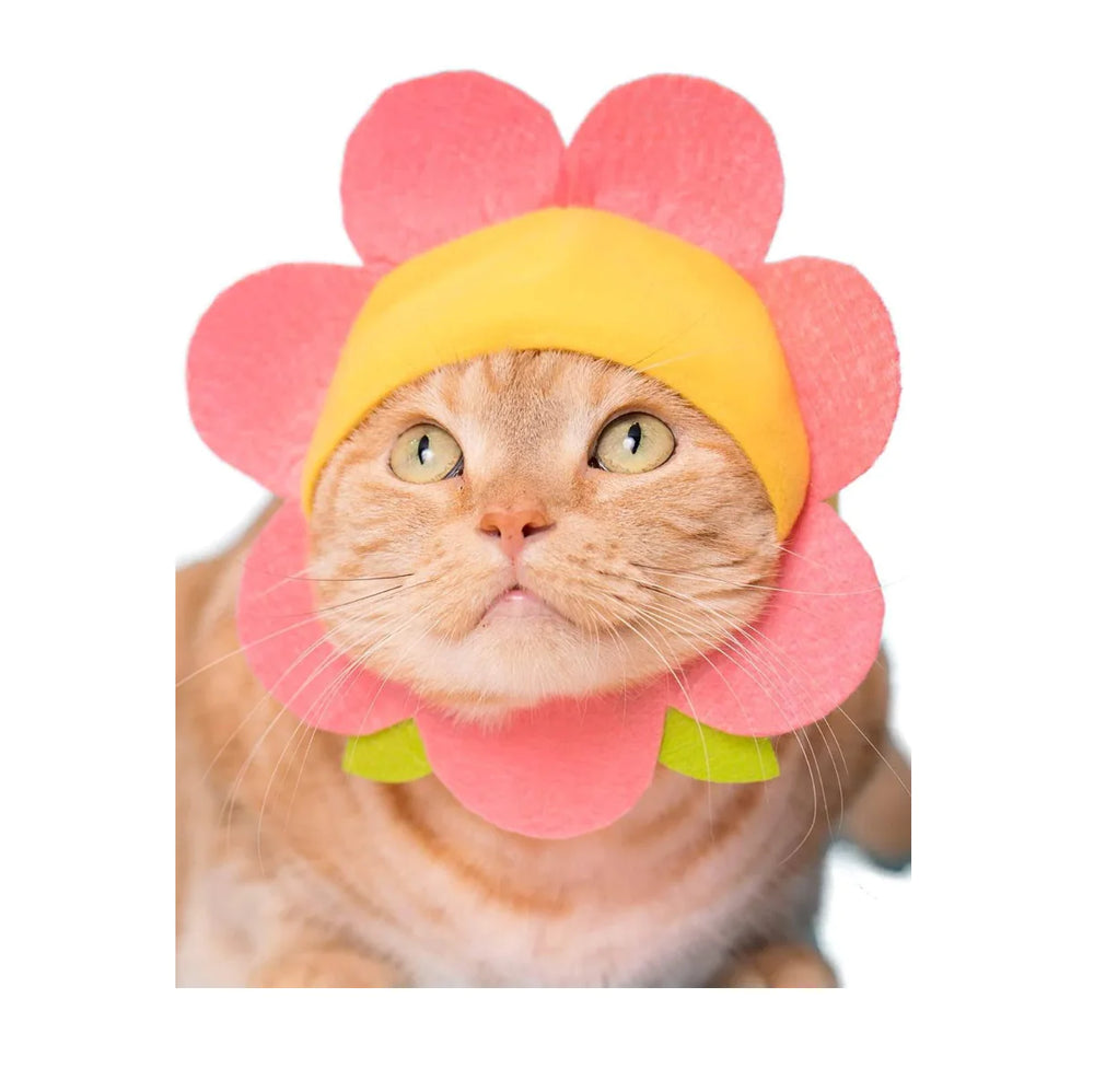 Blind Box- Flower Cat Cap